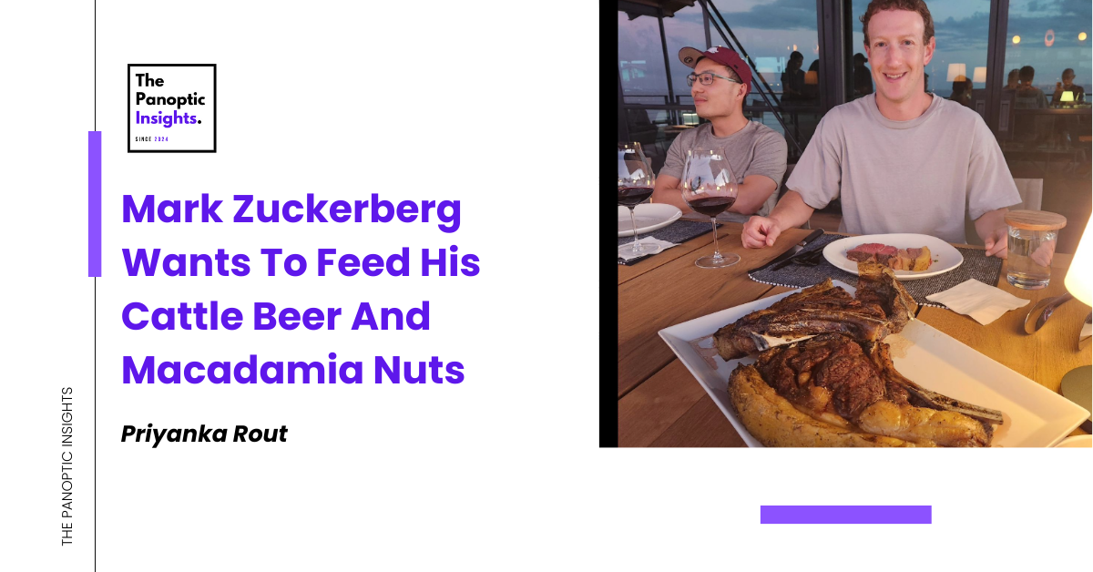 Mark Zuckerberg Wants To Feed His Cattle Beer And Macadamia Nuts